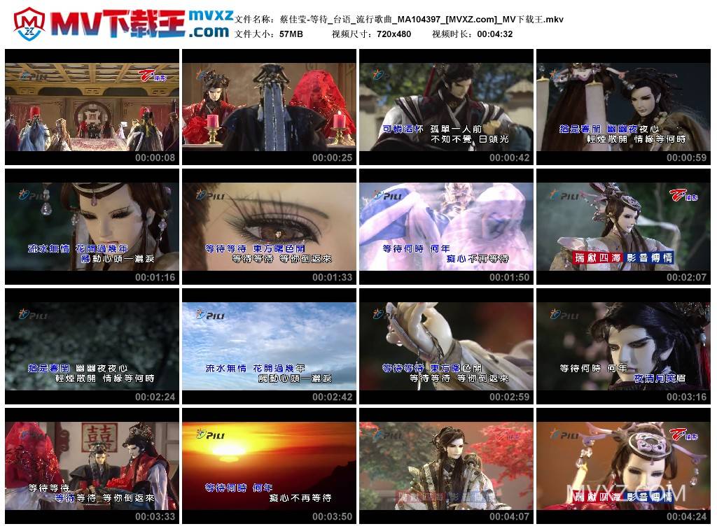 蔡佳莹-等待_台语_流行歌曲_MA104397